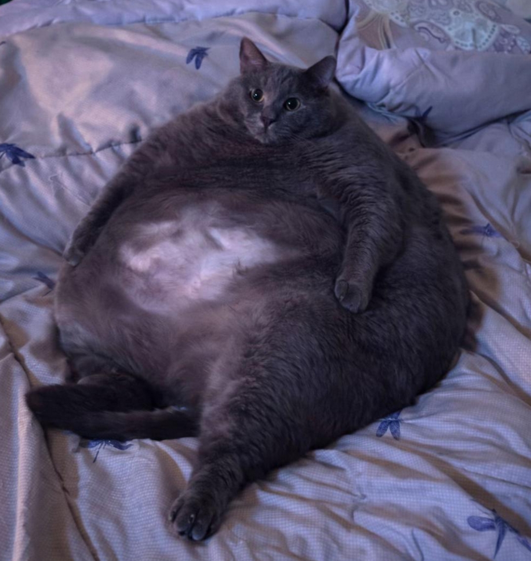Discord_iMUu9rHiAV 1.jpg395